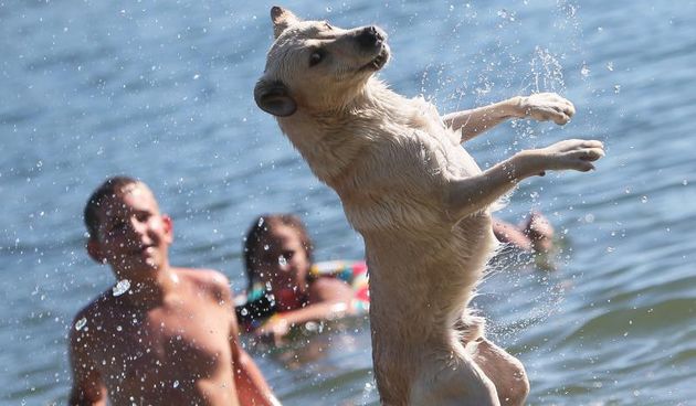03.08.2013., Koprivnica – Podravci na brojnim jezerima traze osvjezenje od nesnosnih vrucina koje vec danima vladaju. Nema ih puno na kupalistima, no oni koji odluce slobodno vrijeme provesi uz vodu uzivaju u drustvu prijatelja ili kucnih ljubimaca, ili