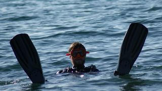 Eko Vir 2024.: Čišćenje podmorja u Radovanjici, Miljkovici i Prezidi Eko Vir 2024.: Čišćenje podmorja u Radovanjici, Miljkovici i Prezidi