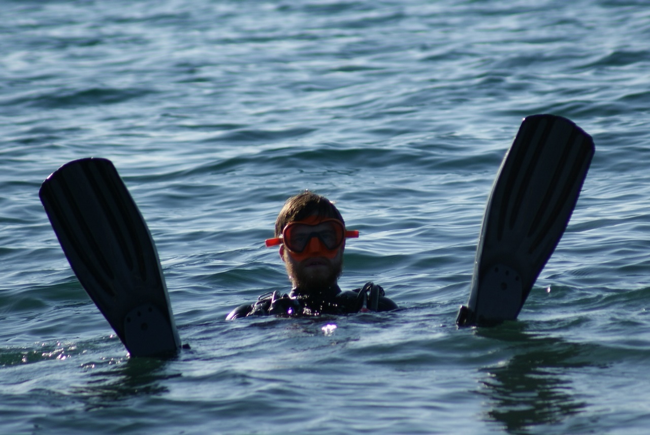 Eko Vir 2024.: Čišćenje podmorja u Radovanjici, Miljkovici i Prezidi Eko Vir 2024.: Čišćenje podmorja u Radovanjici, Miljkovici i Prezidi