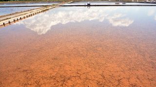 Nin – Povijesni gradic Nin pokraj Zadra za svoju prepoznatljivost ima nadaleko poznatu i najstariju hrvatsku solanu. Pod geslom “Prica o soli…” i dan danas se sol proizvodi na tradicionalan nacin. Photo: Damir Spehar/PIXSELL Nin – Povijesni gradic Nin pokraj Zadra za svoju prepoznatljivost ima nadaleko poznatu i najstariju hrvatsku solanu. Pod geslom “Prica o soli…” i dan danas se sol proizvodi na tradicionalan nacin. Photo: Damir Spehar/PIXSELL