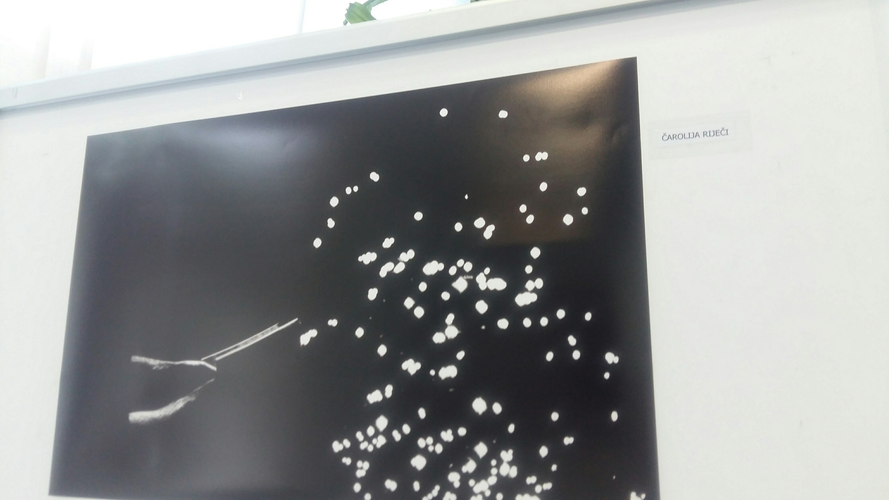 Izložba Jerolima Vulića: Zadrani ulovljeni u zanosu čitanja Izložba Jerolima Vulića: Zadrani ulovljeni u zanosu čitanja