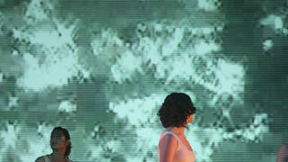 “Colour” Zadarskog plesnog ansambla (Foto:Saša Čuka)