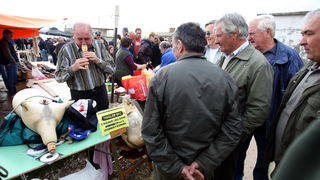 Benkovac, 100313.
Sajam u Benkovcu odrzava se svakog 10. dana u mjesecu. Stoljetna tradicija ucinila je od Benkovackog sajma neizostavni gospodarski i turisticki sadrzaj grada koji svaki put iznova iznenadjuje brojem posjetitelja koji preraste brojku od 1 Benkovac, 100313.
Sajam u Benkovcu odrzava se svakog 10. dana u mjesecu. Stoljetna tradicija ucinila je od Benkovackog sajma neizostavni gospodarski i turisticki sadrzaj grada koji svaki put iznova iznenadjuje brojem posjetitelja koji preraste brojku od 1