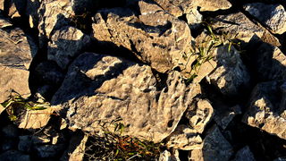 Iške crtice u objektivu Leonarda Kvarantana