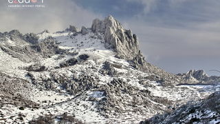 Tulove grede pod snježnim pokrivačem Tulove grede pod snježnim pokrivačem