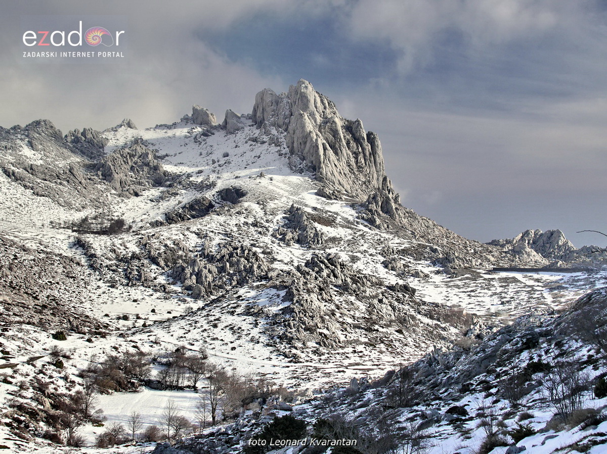 Tulove grede pod snježnim pokrivačem Tulove grede pod snježnim pokrivačem