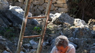 Pag, Lun, 221012.
Berba maslina u lunskom masliniku koji se nalazi kod mjesta Lun na otoku Pagu. Omedjen je suhozidima, prostire se na 400 hektara i sadrzi oko 80.000 stabala maslina. Najveci je maslinik u Hrvatskoj. U Lunskom masliniku rastu brojne jedin Pag, Lun, 221012.
Berba maslina u lunskom masliniku koji se nalazi kod mjesta Lun na otoku Pagu. Omedjen je suhozidima, prostire se na 400 hektara i sadrzi oko 80.000 stabala maslina. Najveci je maslinik u Hrvatskoj. U Lunskom masliniku rastu brojne jedin