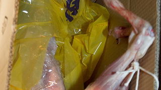 Paški karneval 2012, Foto: Leo Banić