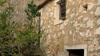 Image 1190457 (auto)