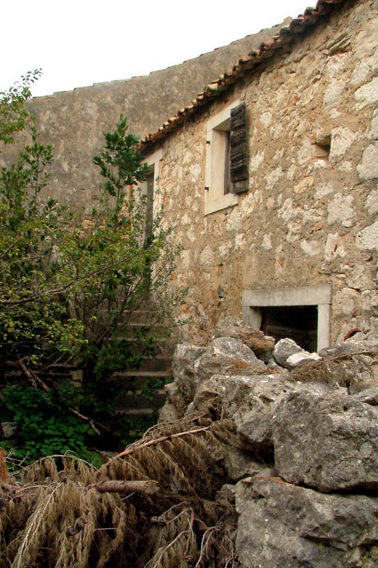 Image 1190457 (auto)