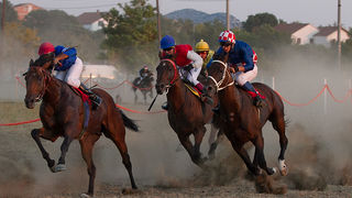 Polača: 14. Međunarodne konjičke utrke “Oluja 95”, Foto: Leo Banić Polača: 14. Međunarodne konjičke utrke “Oluja 95”, Foto: Leo Banić
