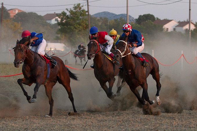 Polača: 14. Međunarodne konjičke utrke “Oluja 95”, Foto: Leo Banić Polača: 14. Međunarodne konjičke utrke “Oluja 95”, Foto: Leo Banić