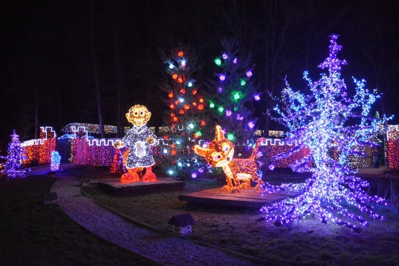 Dva milijuna lampica za božićnu čaroliju na imanju Salaj