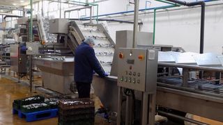 Otvoren pogon tvrtke Mardešić