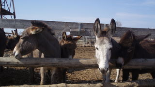 OLYMPUS DIGITAL CAMERA OLYMPUS DIGITAL CAMERA