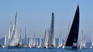 Sva lica “Zadarske koke” Sva lica “Zadarske koke”