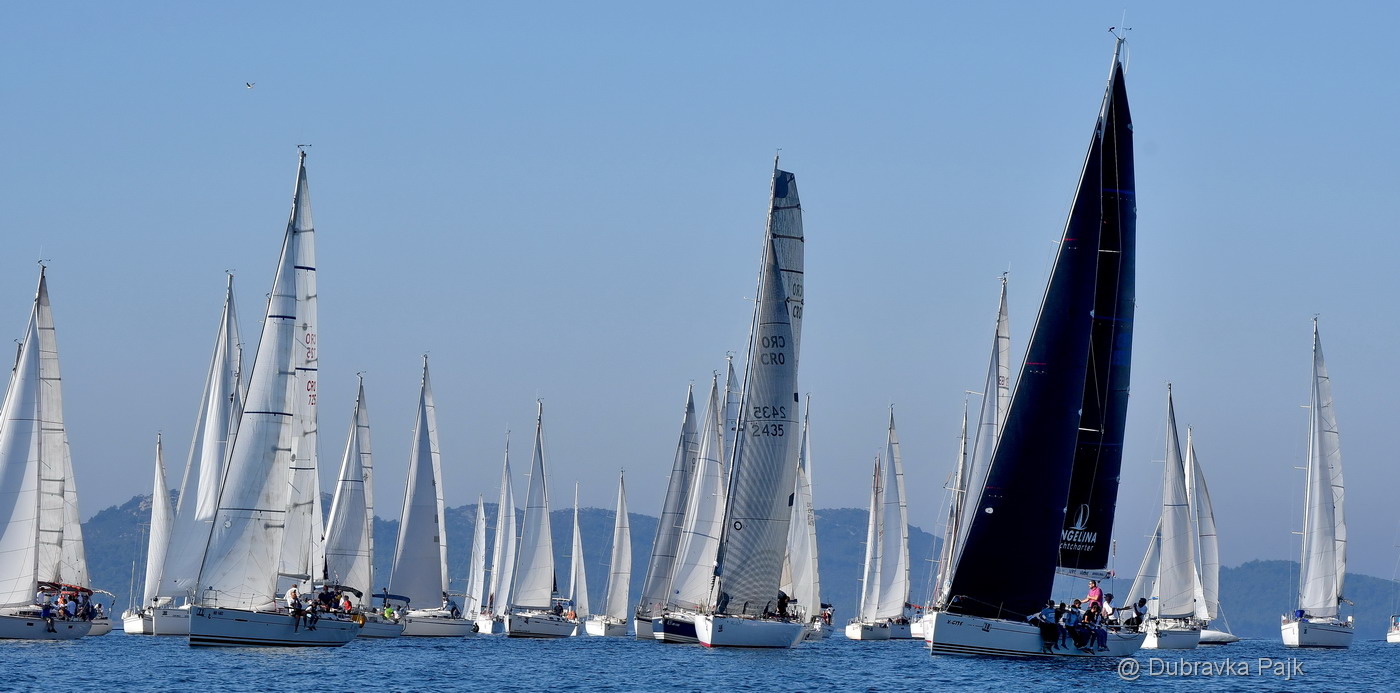 Sva lica “Zadarske koke” Sva lica “Zadarske koke”