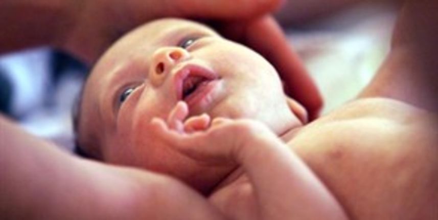 Beba (Tportal.com) Beba (Tportal.com)