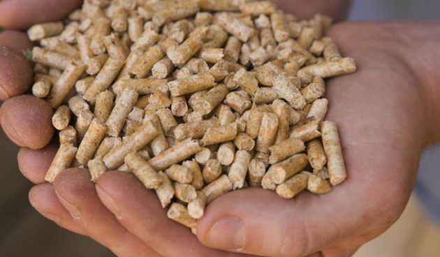Biomasa, foto: www.zelenaenergija.org