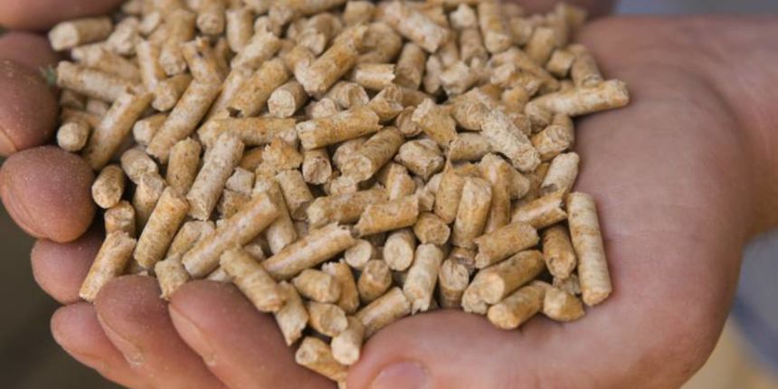 Biomasa, foto: www.zelenaenergija.org Biomasa, foto: www.zelenaenergija.org