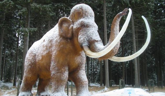 Mamut (Foto: visit.org)