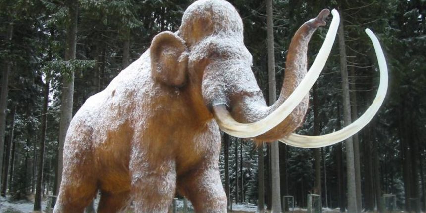 Mamut (Foto: visit.org) Mamut (Foto: visit.org)