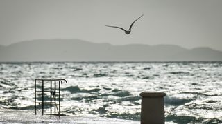 Olujno jugo u Zadru, 5. prosinca 2020.