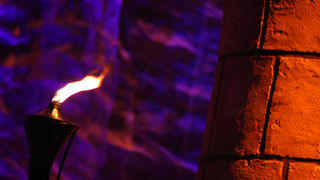 25 godina klape Intrade (foto:Saša Čuka)