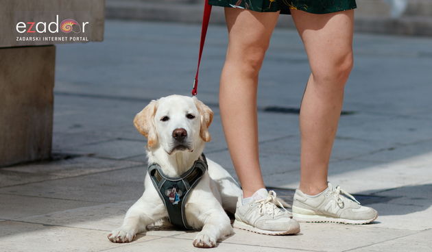 Đir po gradu, ponedjeljak 15. travnja 2019.
