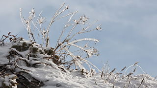 Đir do vrha Zečjak na sjevernom Velebitu, Foto: Leo Banić