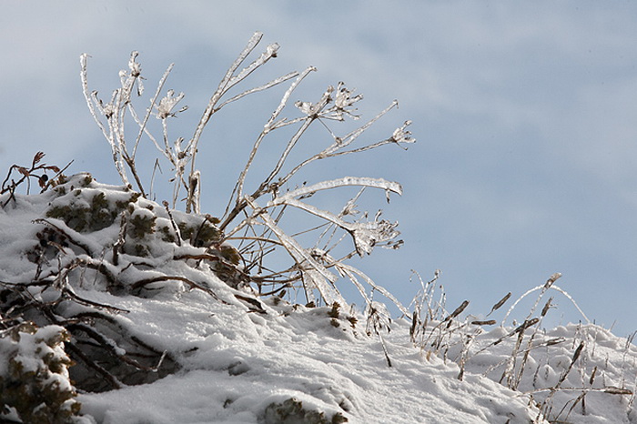 Đir do vrha Zečjak na sjevernom Velebitu, Foto: Leo Banić