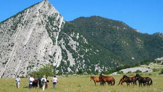 Velebit: Konji u Libinju