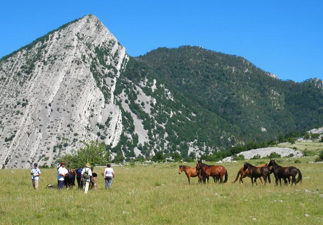 Velebit: Konji u Libinju