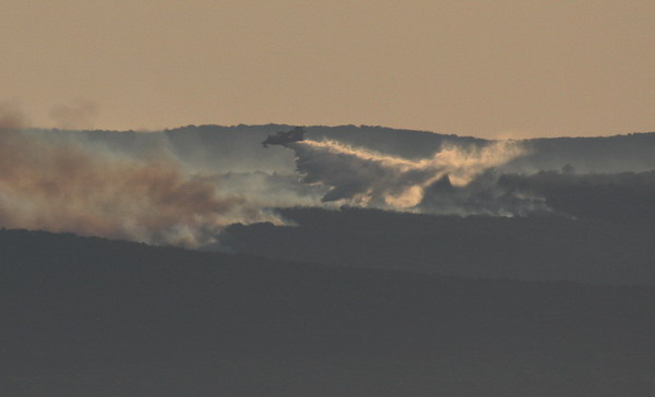 Image 1177173 (auto)