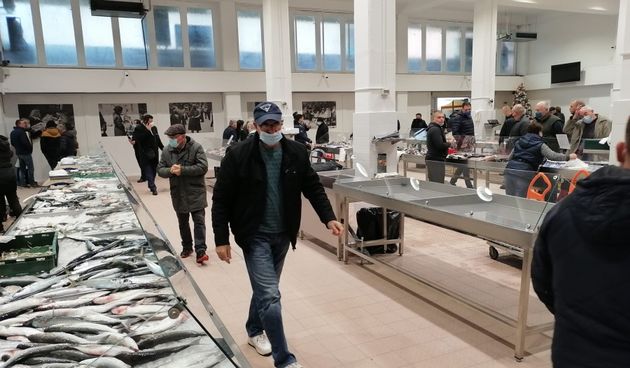 Kroz projekt Adri.SmArtFish postavljen umjetni riblji greben i opremljena zadarska ribarnica