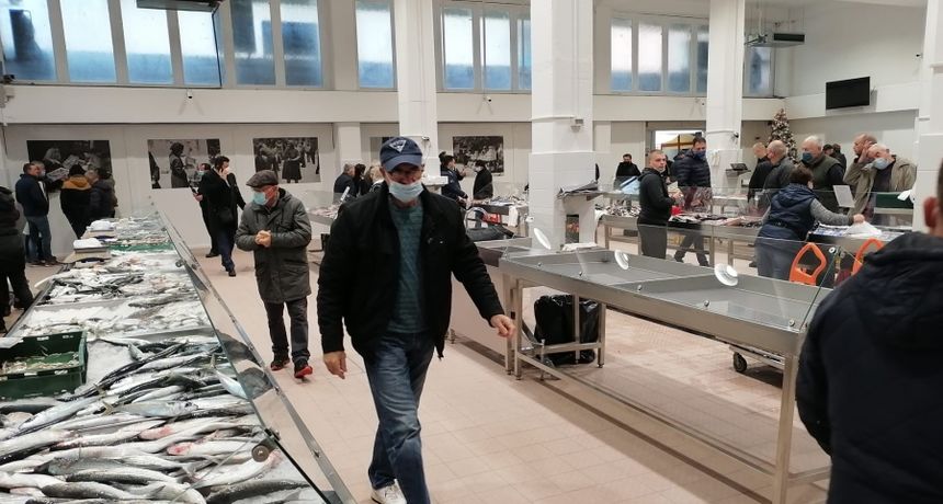 Kroz projekt Adri.SmArtFish postavljen umjetni riblji greben i opremljena zadarska ribarnica