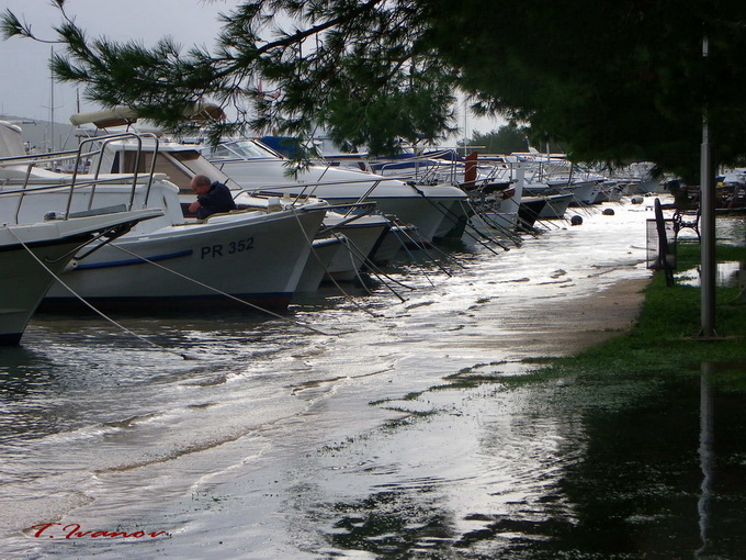 Plima u uvali Bregdetti, foto: T. Ivanov