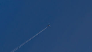 Divlji konji, foto: Leo Banić