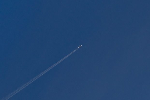 Divlji konji, foto: Leo Banić