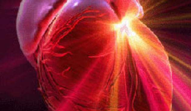 srce ( Foto: totalportal.hr )