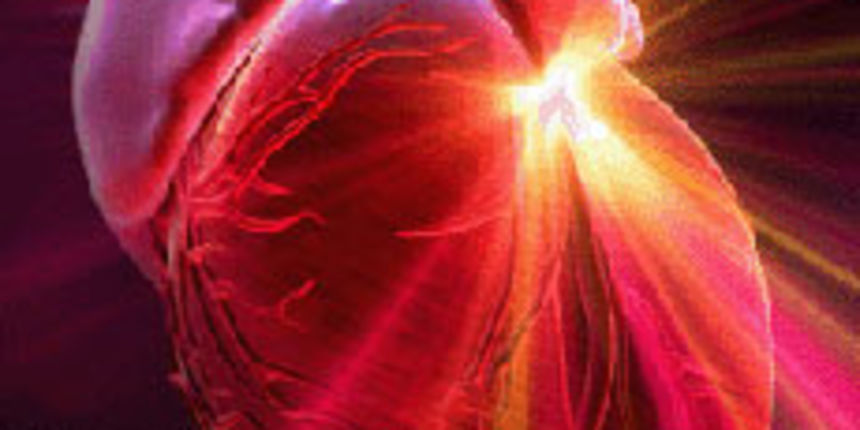 srce ( Foto: totalportal.hr )