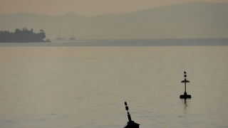 Svitanje i rano jutro u novoj luci Gaženica