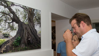 Biograd na moru: Otvorena izložba fotografija “Lunjske masline” Biograd na moru: Otvorena izložba fotografija “Lunjske masline”