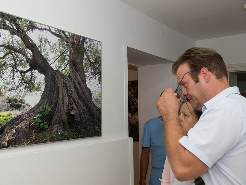 Biograd na moru: Otvorena izložba fotografija “Lunjske masline” Biograd na moru: Otvorena izložba fotografija “Lunjske masline”