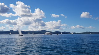 Zadarska Koka 2016. 22. listopada 2016. Foto: Mladen Malik Zadarska Koka 2016. 22. listopada 2016. Foto: Mladen Malik