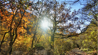 Jesen u kanjonu Velike Paklenice