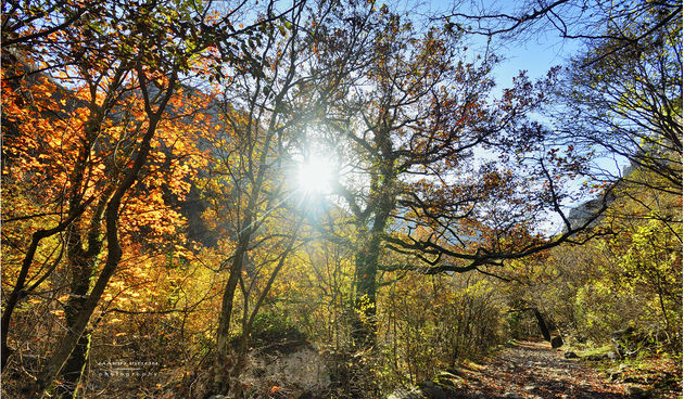 Jesen u kanjonu Velike Paklenice
