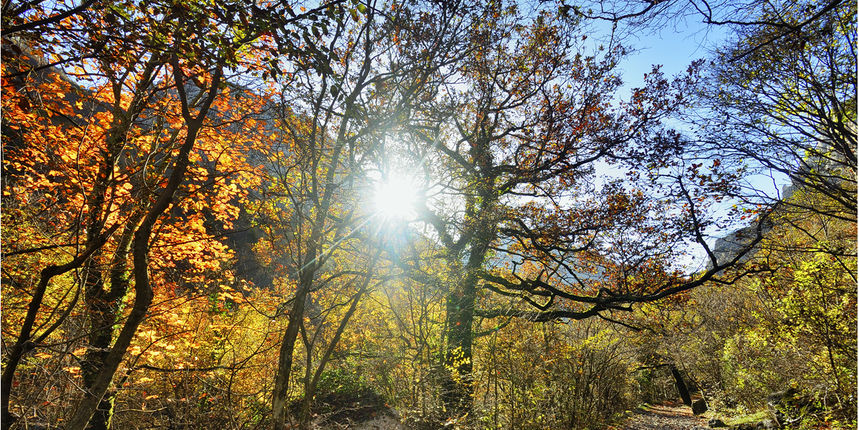 Jesen u kanjonu Velike Paklenice
