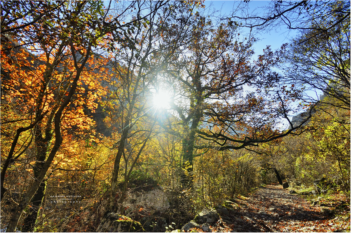 Jesen u kanjonu Velike Paklenice