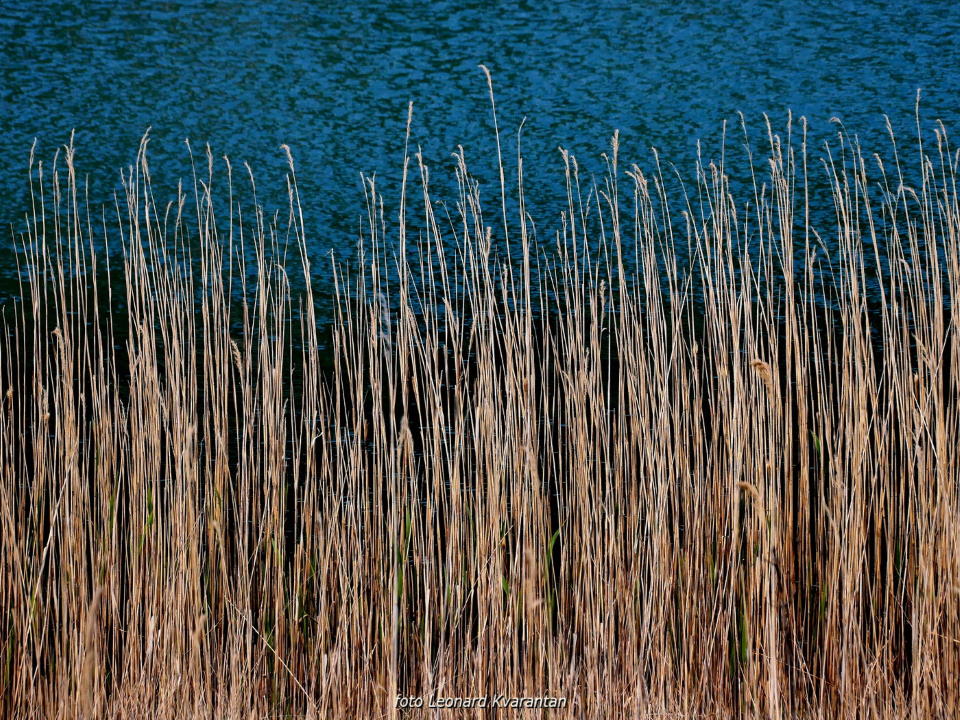 Pješačka staza Obrovac – Jankovića buk